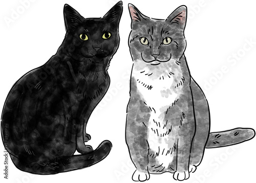 Watercolor Animals Cat Dog Clip Art