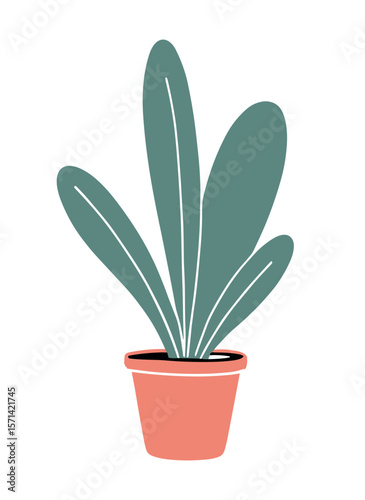 Stylish indoor plant in a decorative pot showcasing modern design
