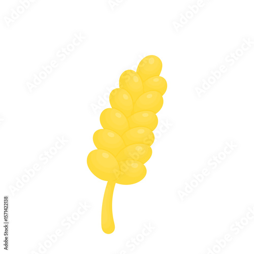 Cute volumetric wheat. Concept of making bread and flour. Farm harvest