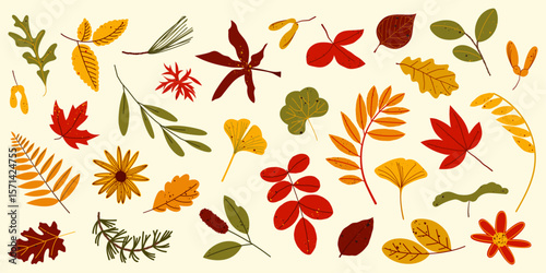 Set of autumn leaves. Collection of hand-drawn colorful fall foliage.