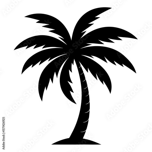 palm tree silhouette