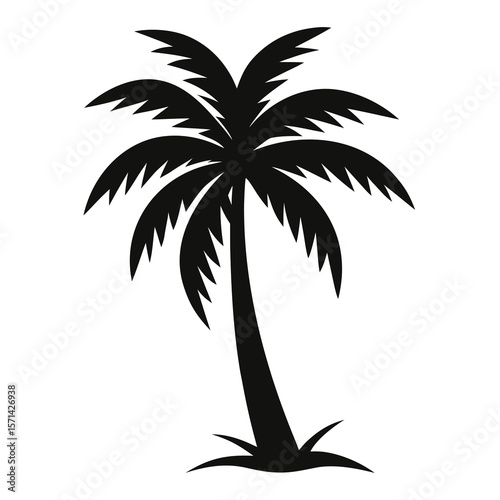 palm tree silhouette