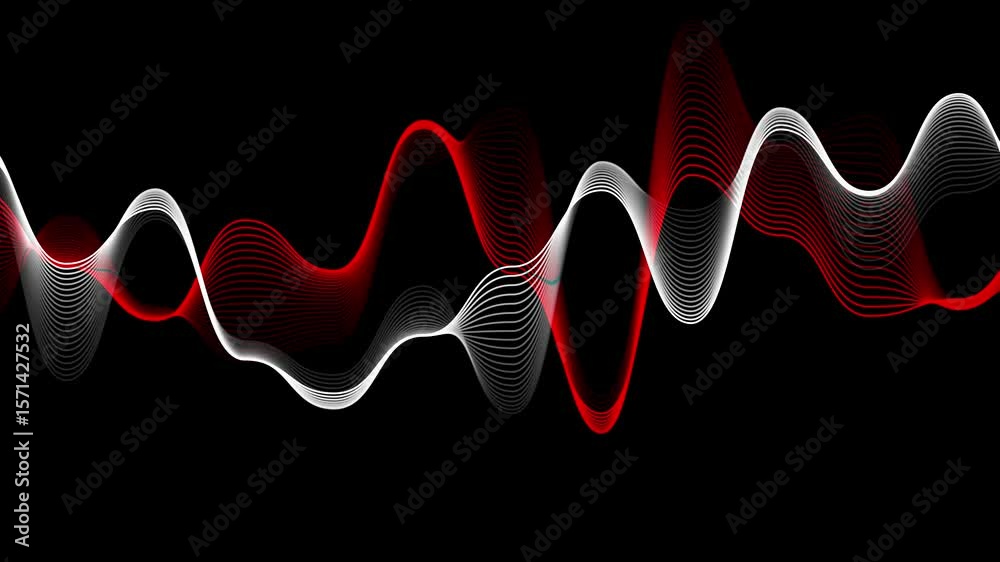Red and white audio waveform lines, Abstract sound waves motion loop on black background