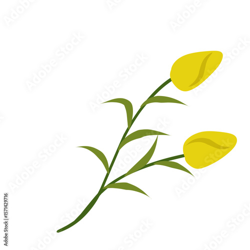 lustration of yellow tulips,yellow flowering bush