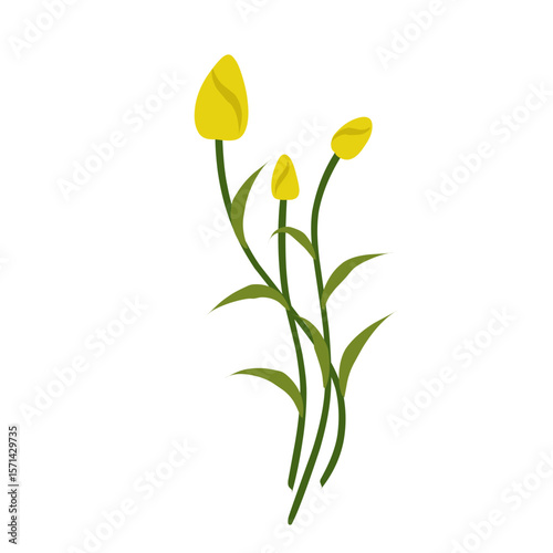 lustration of yellow tulips,yellow flowering bush