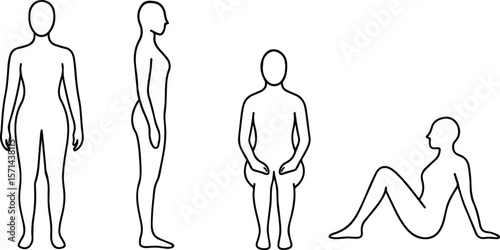 Elegant vector silhouettes of fashion models illustrating human anatomy