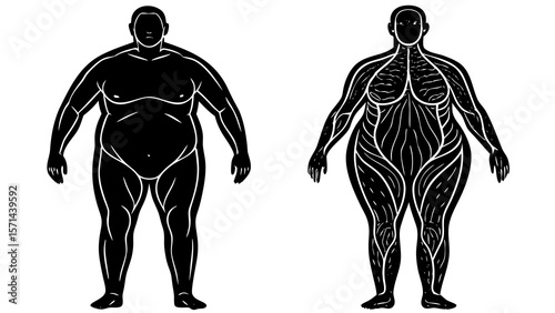 Obese Body Silhouette Showing Muscle Structure and Fat Distribution