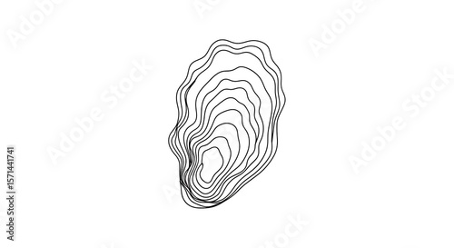 Oyster Shell Line Art Vector – Abstract Minimal Marine Design

