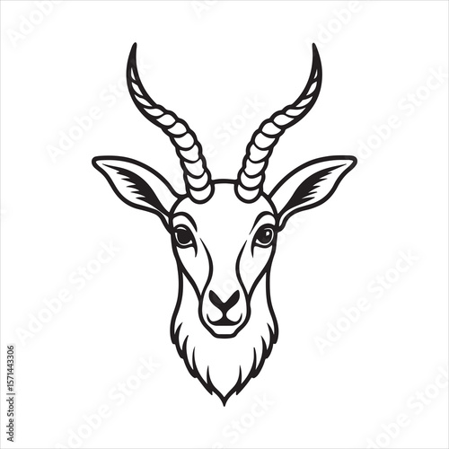 Mountain Royalty: Discovering the Rare Markhor in the Wild