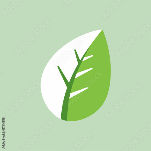 Minimalist leaf illustration on pastel green background for conceptual image fx, representing visual effects in digital imagery. Minimalist leaf showcases clean, crisp visual effects,