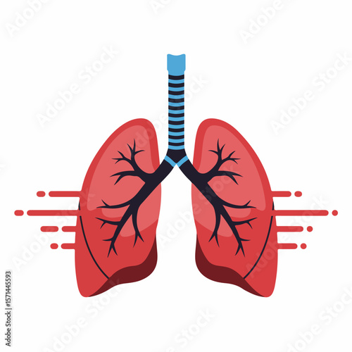 Human lungs anatomy in illustrative medical image for visual effects. Lungs show detailed respiratory system with trachea and bronchi, lungs provide visual effect for health education.