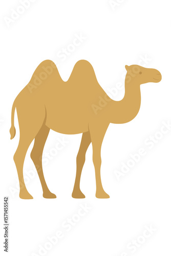 Vector Illustration of a Bactrian Camel with Two Humps
