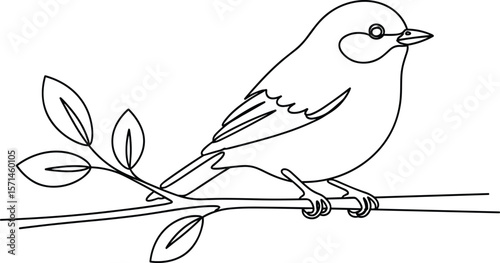 Bird on branch line art illustration, simple nature drawing, perched songbird vector, minimalist wildlife sketch, outline bird design for print