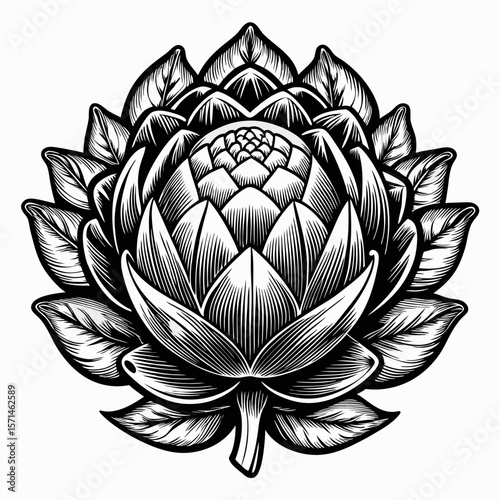 Intricate Monochrome Artichoke Illustration Showcasing Nature's Elegance