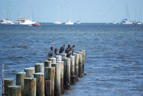 pier in the sea