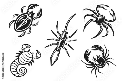 Several scorpion and arachnid icons isolated on white background