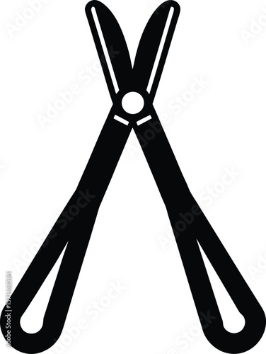 tongs on white background.eps