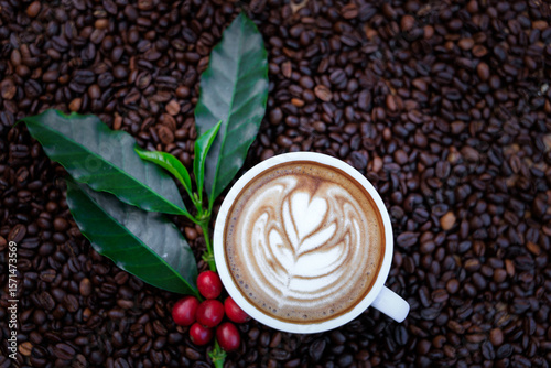 cappuccino white cup, and green coffee leaves, and red raw coffee, with roasted coffee beans backgrounds abstrack