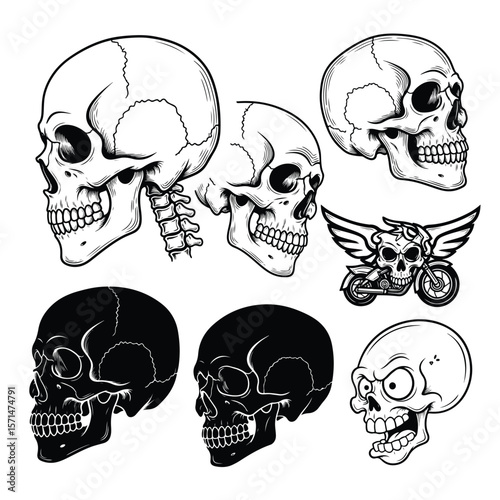 Side View Human Skull Vector Set – Realistic, Tattoo Style