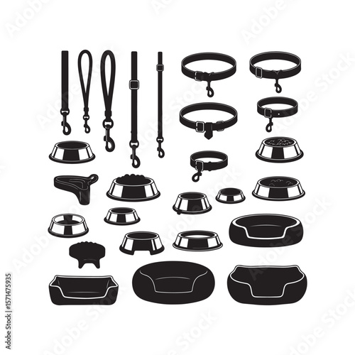 Dog Accessories Leashes, Collars, Bowls, and Beds - A Complete Guide