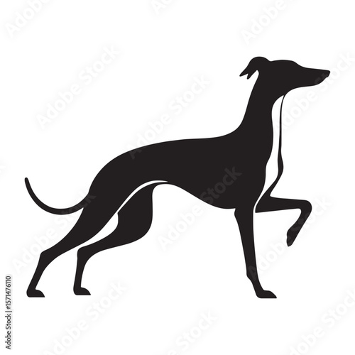 Graceful Whippet canine digital black silhouette, showcasing its distinctive and athletic form - Whippet silhouette - Whippet Vector - Silhouette of Whippet - dog vector

