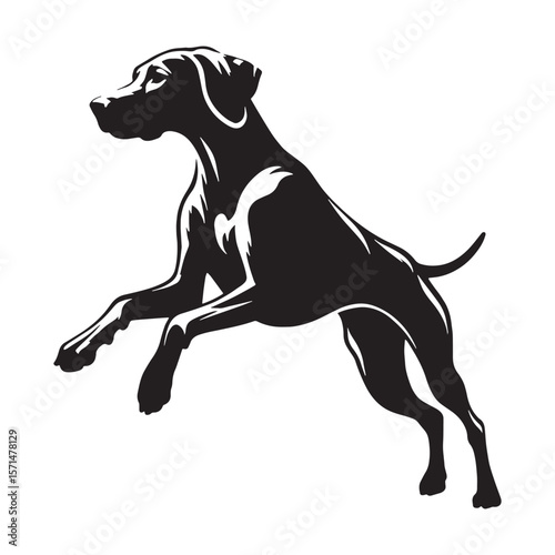 Loyal Vizsla black vector graphic, reflecting its devoted and affectionate temperament - Vizsla silhouette - Vizsla Vector - Silhouette of Vizsla - dog silhouette

