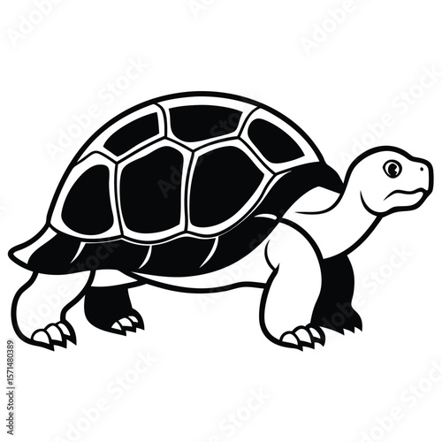 Tortoise--silhouette Adobe Illustrator Artwork, White background