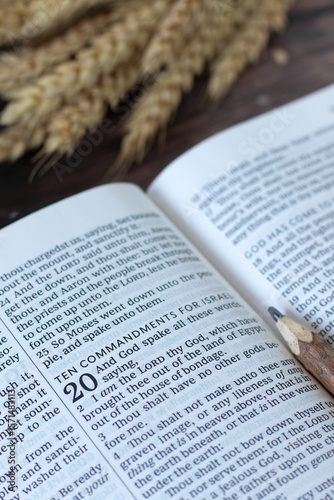 Ten commandments text in open holy bible book with wheat in the background. Close-up. Christian obedience and faith in God Jesus Christ, biblical concept.