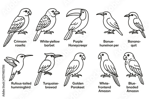 Birds line icon set. parrot, toucan, songbird, hummingbird outline collection