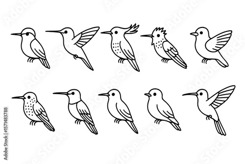 Bird outline icon set. avian, wildlife symbols in line style for easy customization