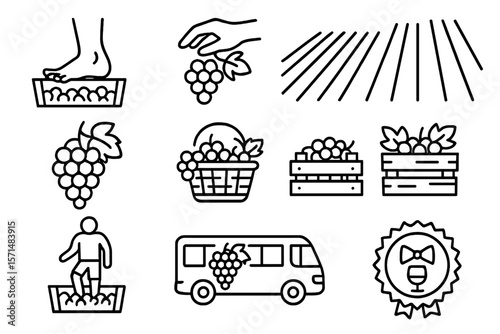 Wine production outline icon set. vineyard, grape harvest, winery linear collection