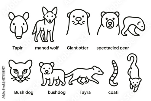 Endangered animals outline icon set. wildlife conservation species linear collection