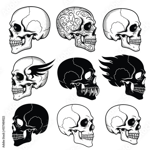 Side View Human Skull Vector Set – Realistic, Tattoo Style, Silhouette & Vintage