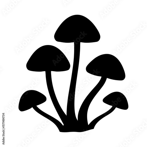 A Silhouette of Five Mushrooms Clustering Together in Dark Forest Environment