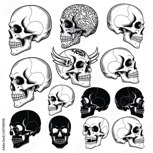 Side View Human Skull Vector Set