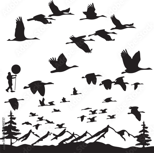 Black Silhouette Birds Flying Over Mountains Landscape Scene Person Hiking With Stick white