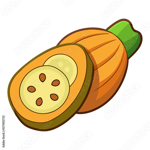 Orange fruit with green stem and brown seeds vector