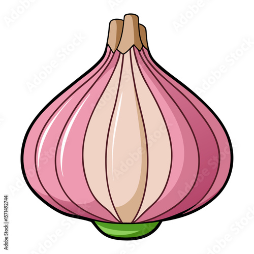 Pink onion with green sprout and brown stem vegetable food