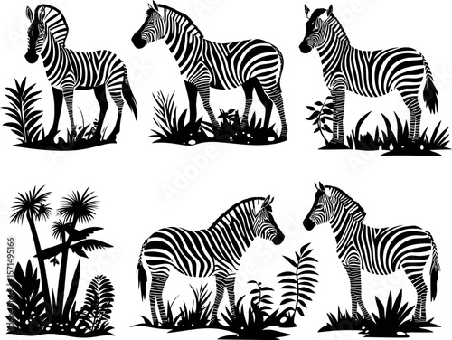 Silhouetted zebras in a tropical setting isolated on white background