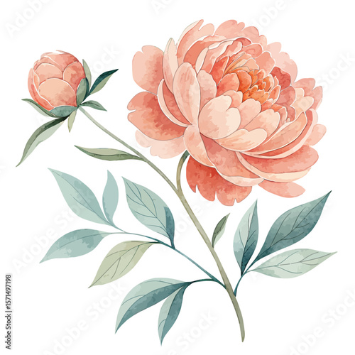 Single pink rose icon in soft watercolor -  Vector Art