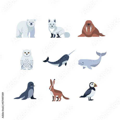 Arctic Animals Collection Polar Bears Foxes Walruses and More
