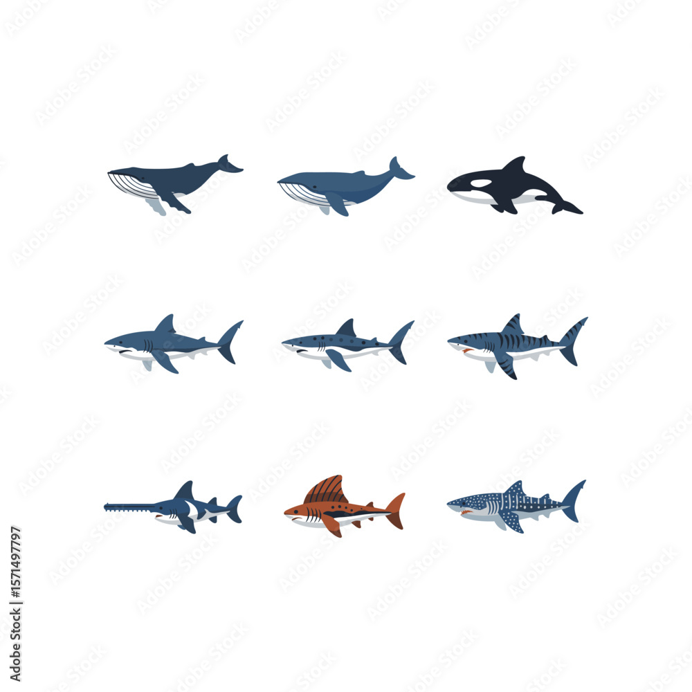 Fototapeta premium Marine Life Collection Whales and Sharks in Flat Illustration Style