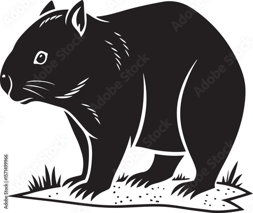 Stylized black and white vector illustration of an australian wombat standing on ground