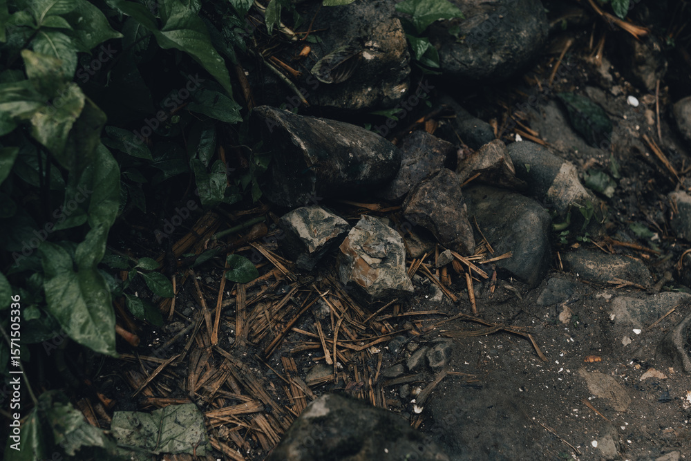 Fototapeta premium Falls in the mountain.