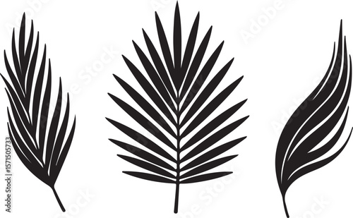 Black and white vector silhouette of a bird feather, an artful design element perfect for nature-inspired illustrations or writing