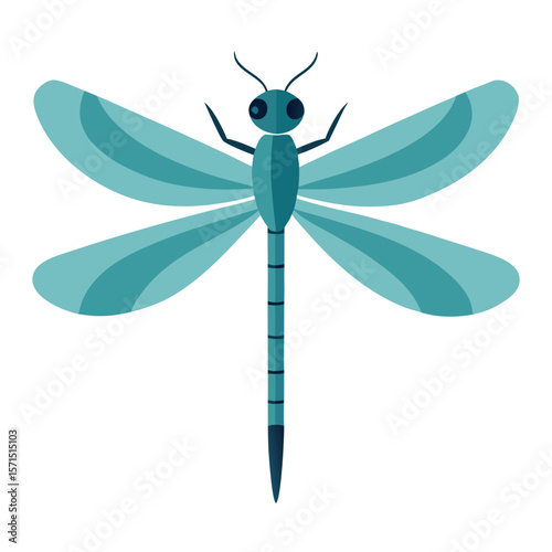 dragonfly vector illustration