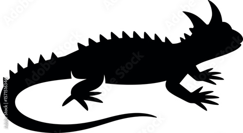 Thorny Devils silhouette on white background