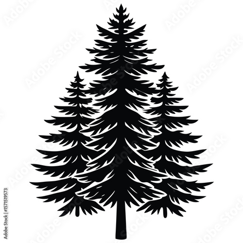 set of pine trees