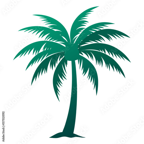 palm tree vector