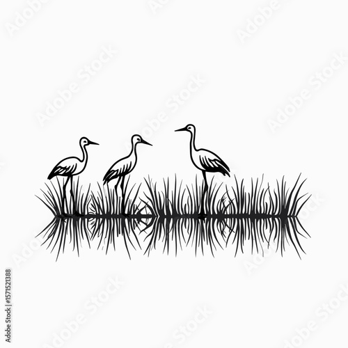 Three herons standing by the water among tall grass  
